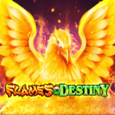 FLAMES OF DESTINY