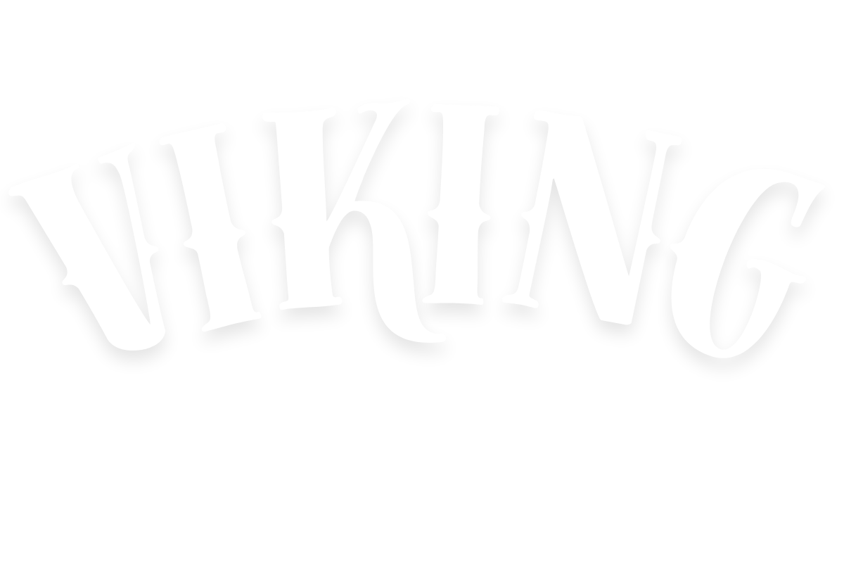 Viking Slots