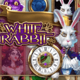 White Rabbit